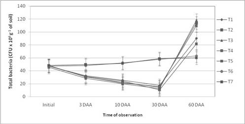 Influence of treatments on total bacteria (CFU x 106 g-1 of soil) *bar denotes standard error (±)
