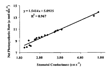 Fig: Regression and correlation coefficients between stomata! conductance and net