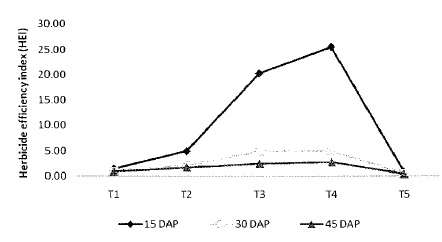 Fig: Effect of herbicide efficiency index (HEI) of different herbicide on soybean field at 15, 30 and 45 days after post emergence spray.