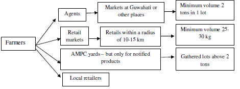 Fig: The general scenario of market infra-structure, the dynamics of marketing of horticulture produce is.